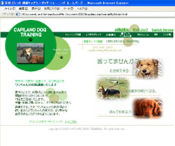 レスポンシブWebデザインのサイト